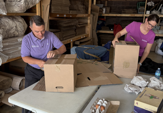 ONESource Calgary team carefully packing household items during a senior downsizing project in Southwest Calgary.